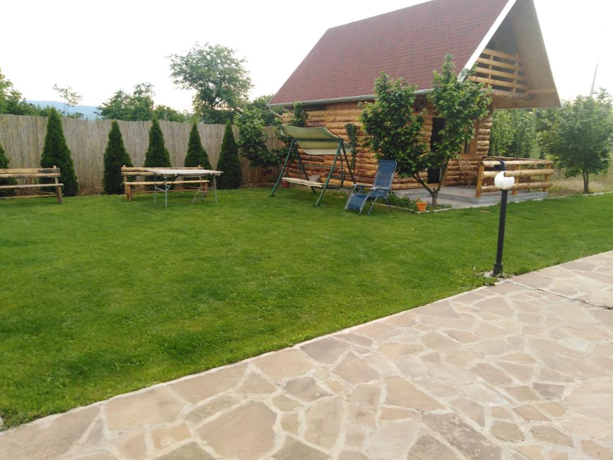 Vila Viktori Pirot Exterior foto